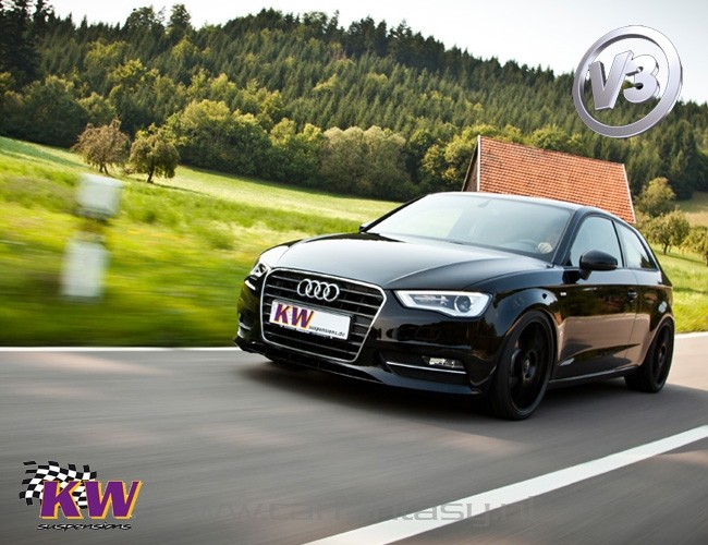 Schroefset KW V3 inox Audi A3 8P 2.0TDI 03/2003-